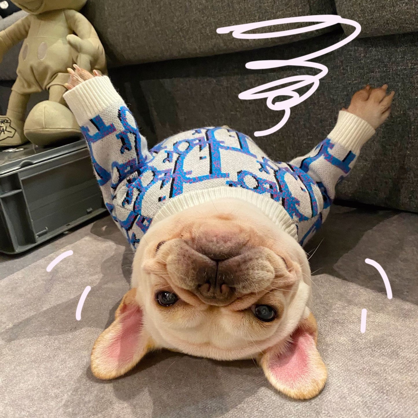 Pet trendy brand Internet celebrity clothes dog cat French dog Teddy Schnauzer Internet celebrity puppy autumn and winter sweatshirt sweater