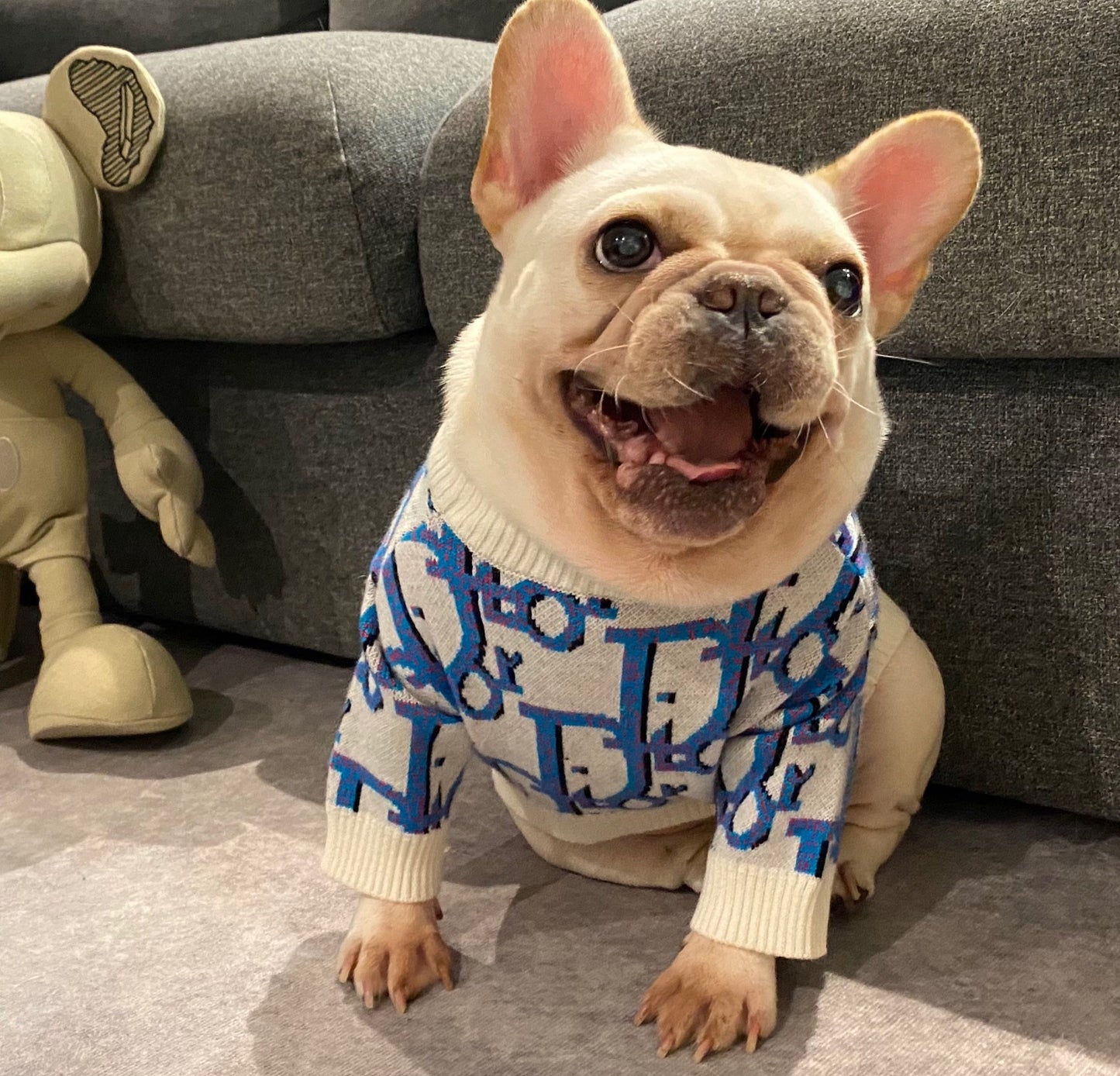 Pet trendy brand Internet celebrity clothes dog cat French dog Teddy Schnauzer Internet celebrity puppy autumn and winter sweatshirt sweater